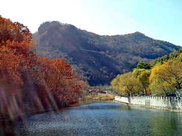 管家婆黑白马报图库，平陆野猪